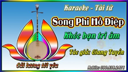 Karaoke bài bản tài tử  Song phi hồ điệp